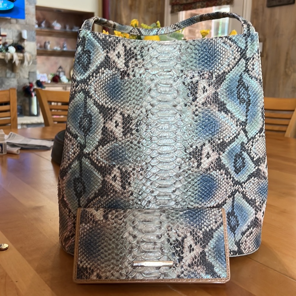 Brahmin Molly in Haven Roxanne.